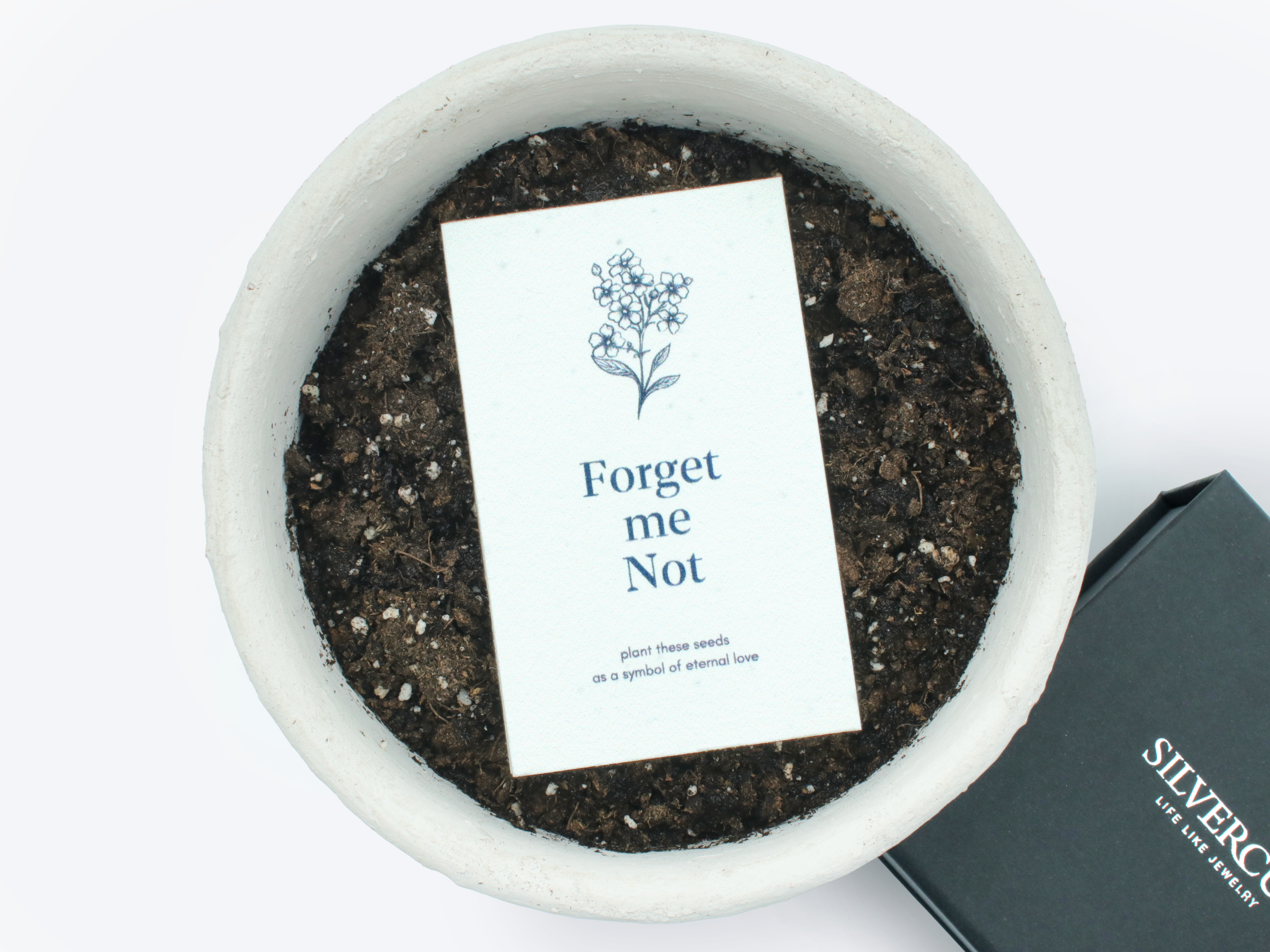 Life-Like Keychain + Seed Paper Bundle